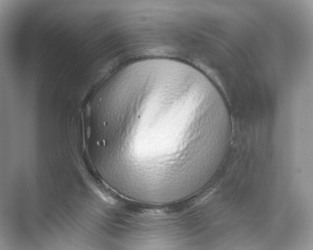 X0000073850061200608312011