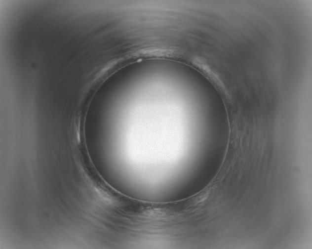 X0000073850062200608312011