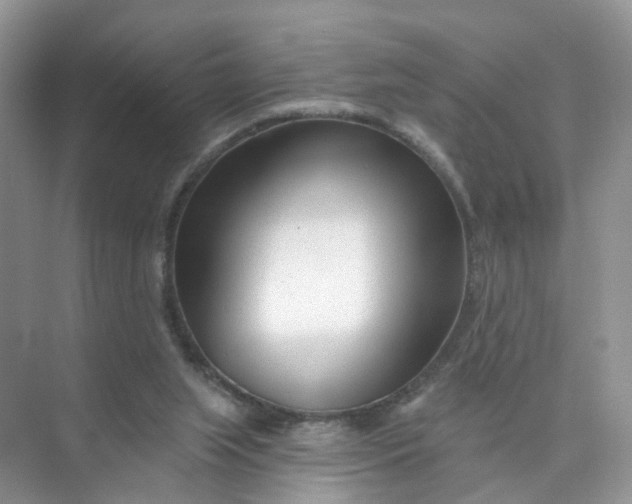 X0000073850063200608312011