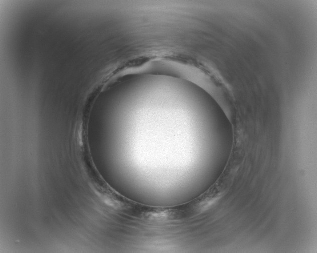 X0000073850068200608312011