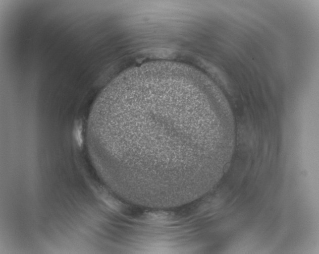 X0000073850069200608312011