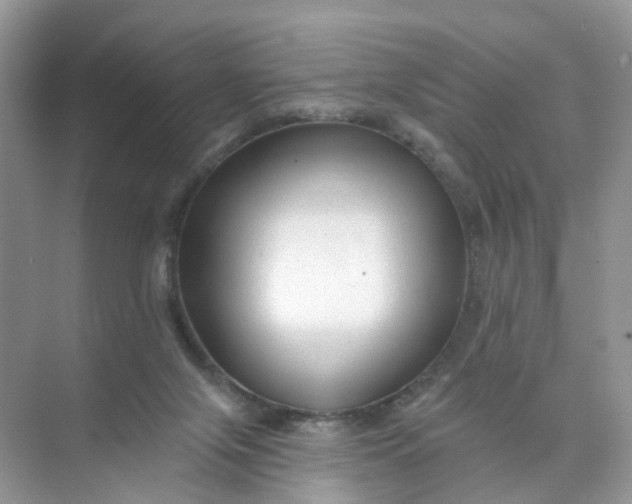 X0000073850071200608312011