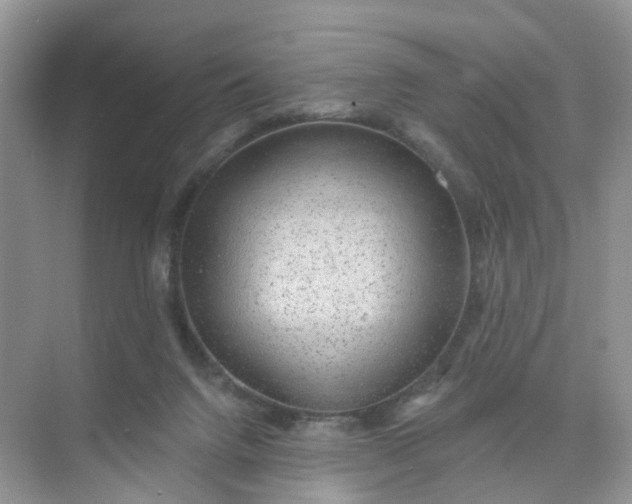 X0000073850072200608312011