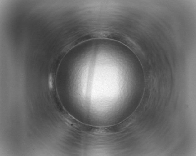 X0000073850075200608312011