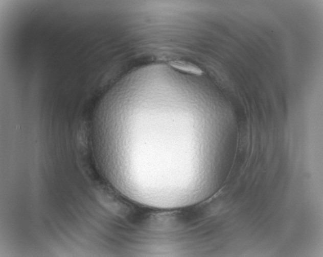 X0000073850078200608312011