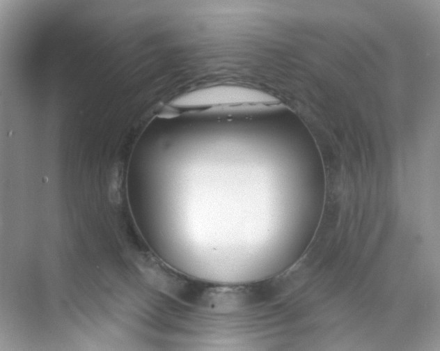 X0000073850082200608312012