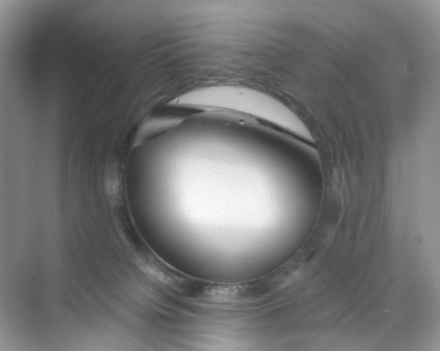 X0000073850084200608312012