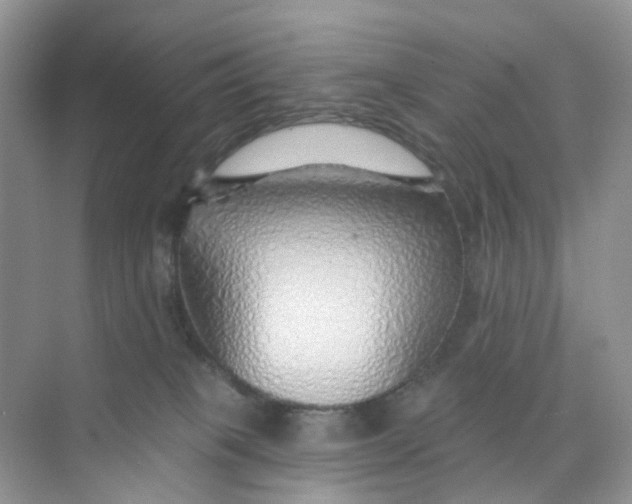 X0000073850085200608312012