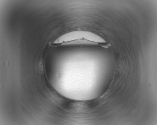 X0000073850086200608312012