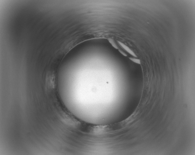 X0000073850090200608312012