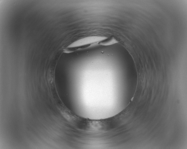 X0000073850091200608312012