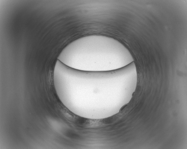 X0000073850093200608312012