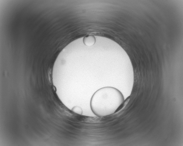 X0000073850094200608312012