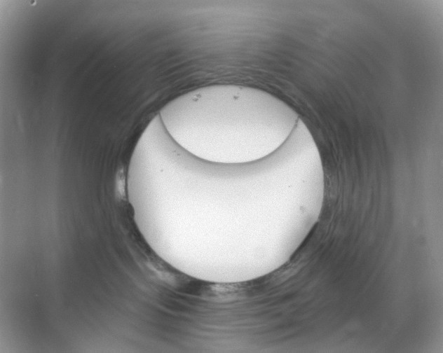 X0000073850095200608312012