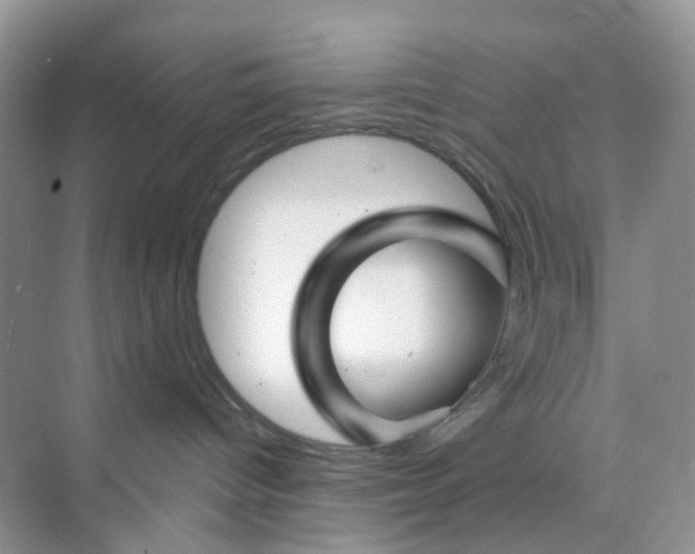 X0000073850096200608312012