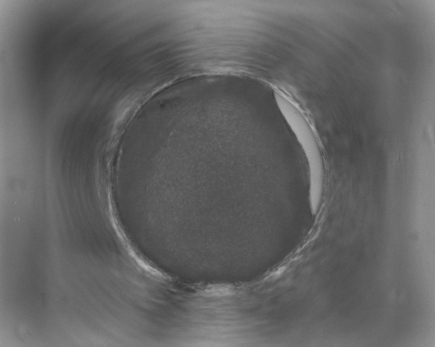 X0000073850097200608312011