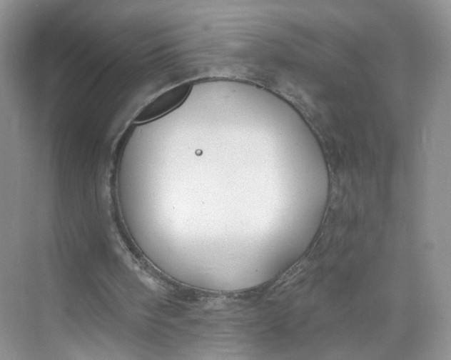 X0000073850098200608312011