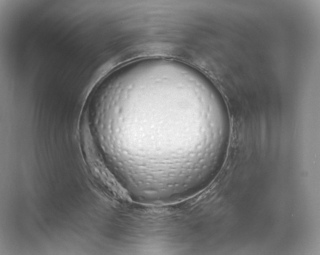 X0000073850099200608312011