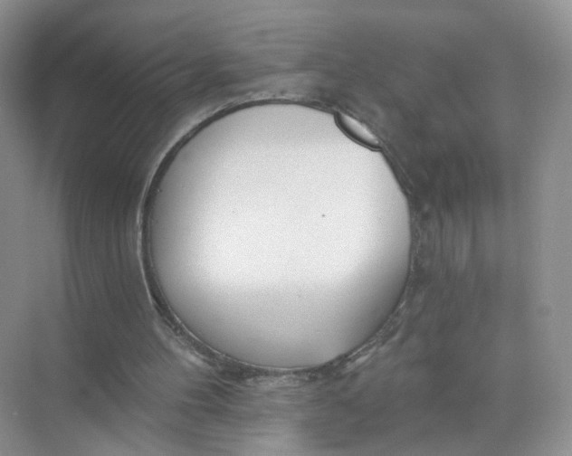 X0000073850100200608312011