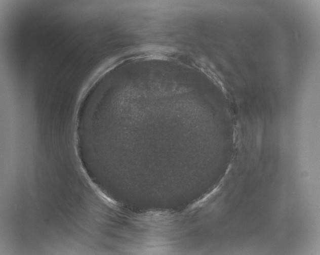 X0000073850101200608312011