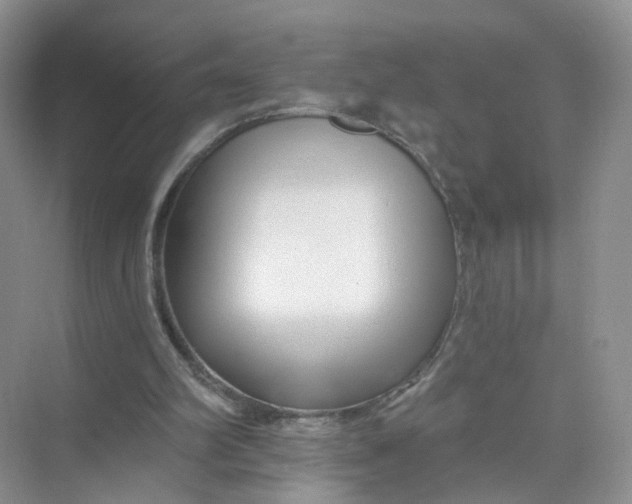 X0000073850102200608312011