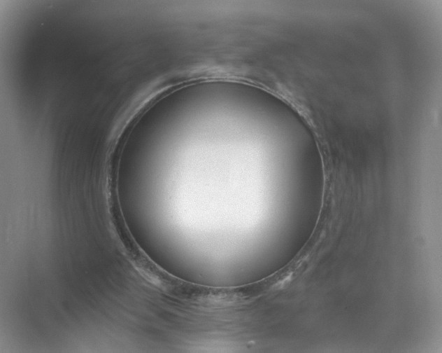 X0000073850103200608312011