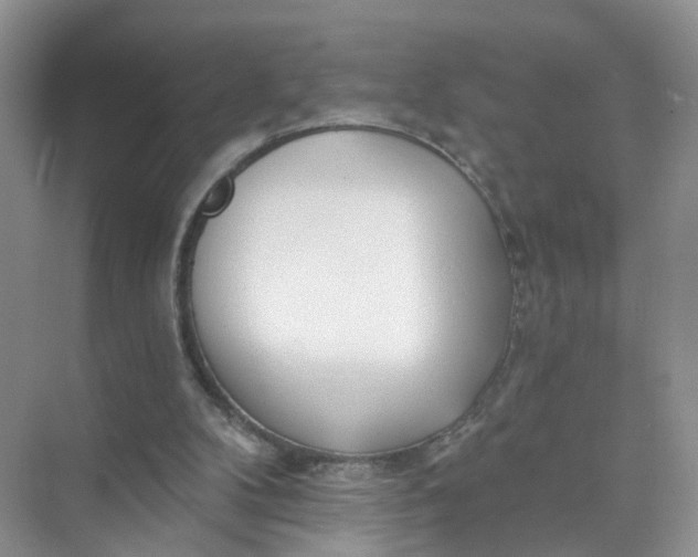 X0000073850104200608312011