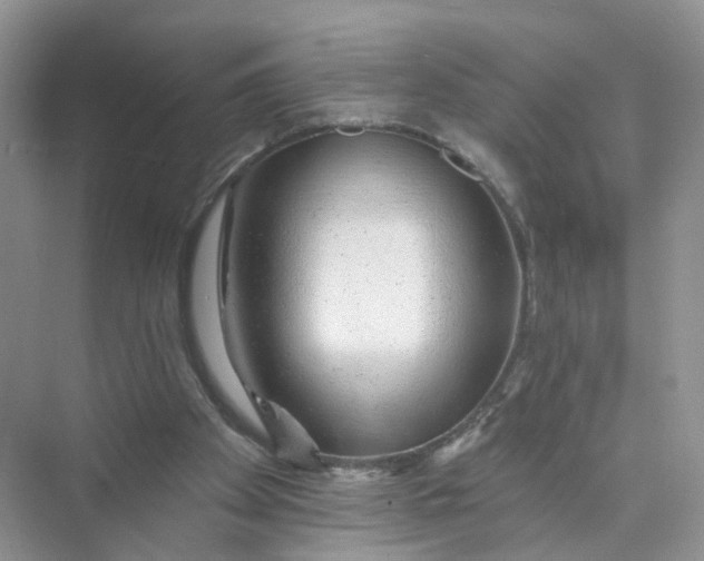 X0000073850105200608312011