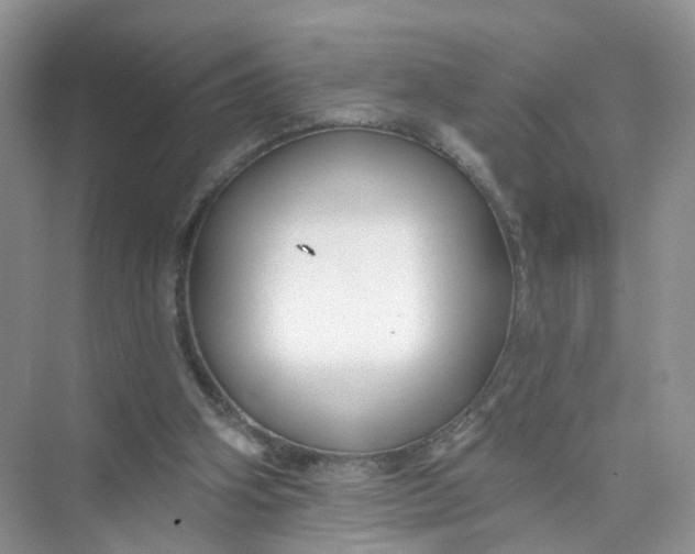 X0000073850106200608312011