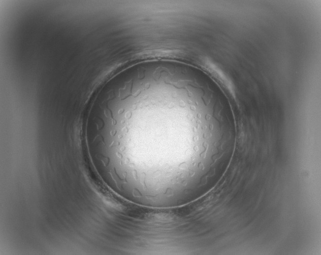 X0000073850107200608312011