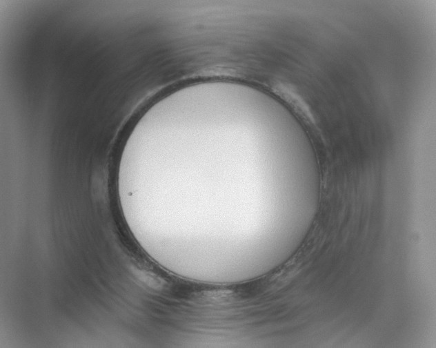 X0000073850108200608312011