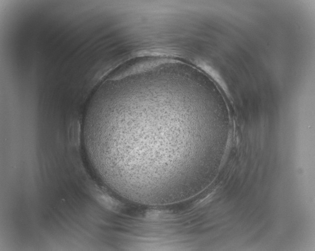 X0000073850109200608312011