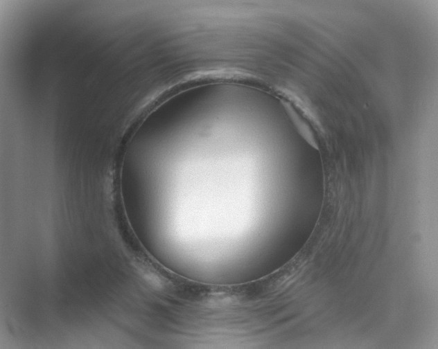 X0000073850111200608312011