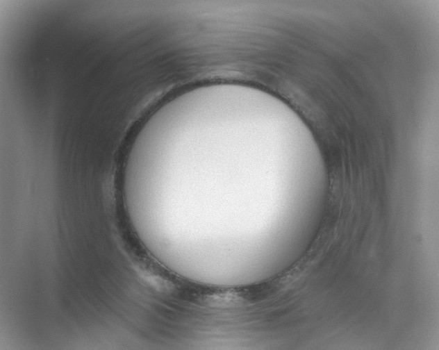 X0000073850112200608312011