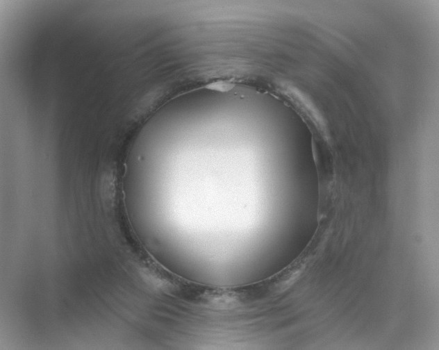 X0000073850113200608312011