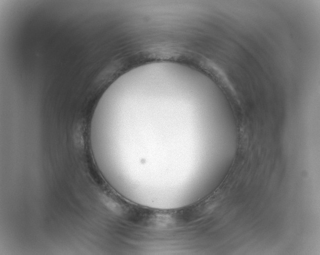 X0000073850114200608312011