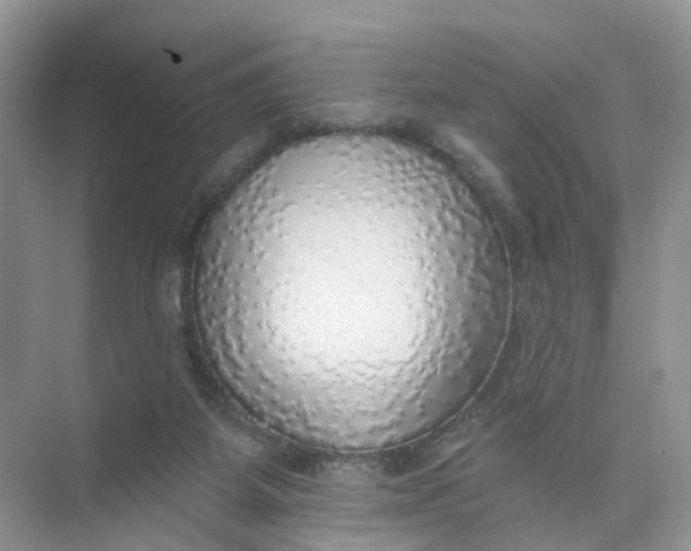 X0000073850115200608312011