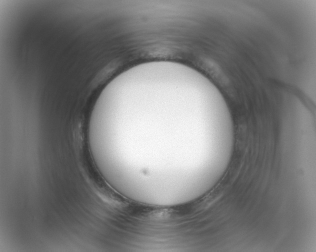 X0000073850116200608312011