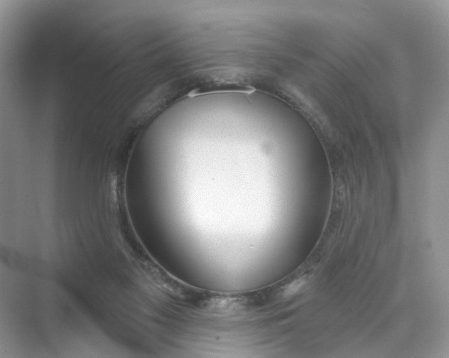 X0000073850117200608312011