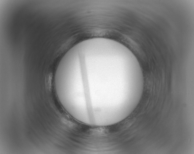 X0000073850118200608312011