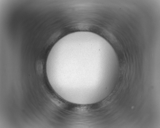 X0000073850120200608312011