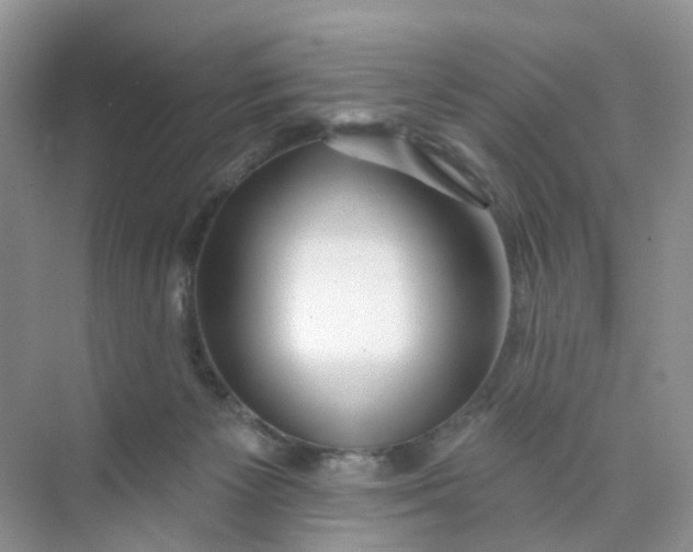 X0000073850125200608312010