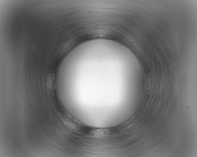 X0000073850126200608312010