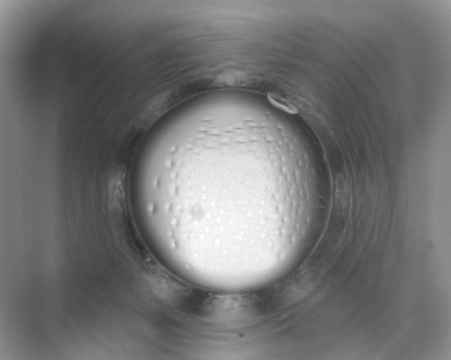 X0000073850127200608312010