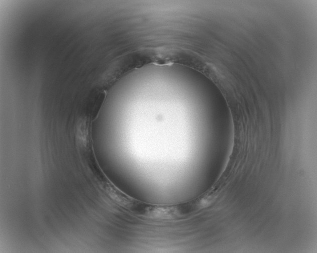 X0000073850129200608312010