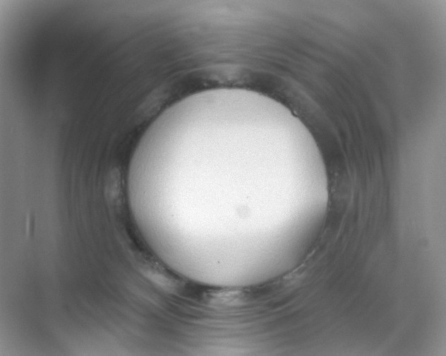 X0000073850132200608312010