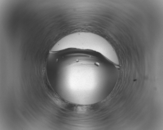 X0000073850134200608312010