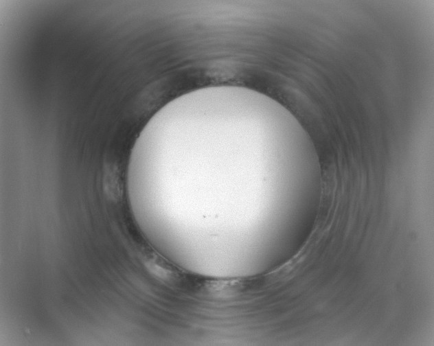 X0000073850136200608312010