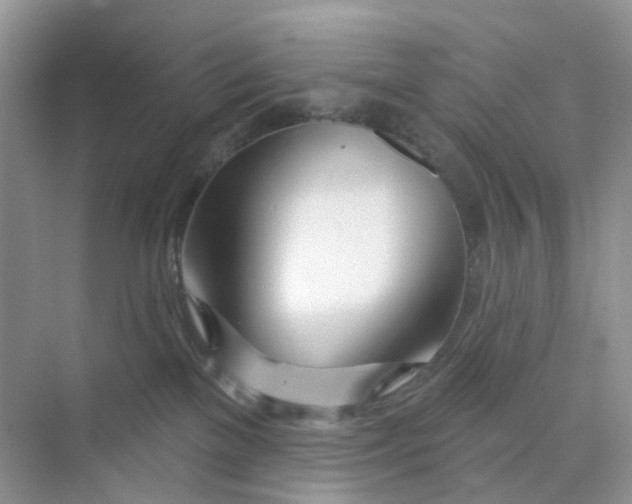 X0000073850137200608312010