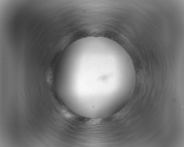 X0000073850138200608312010